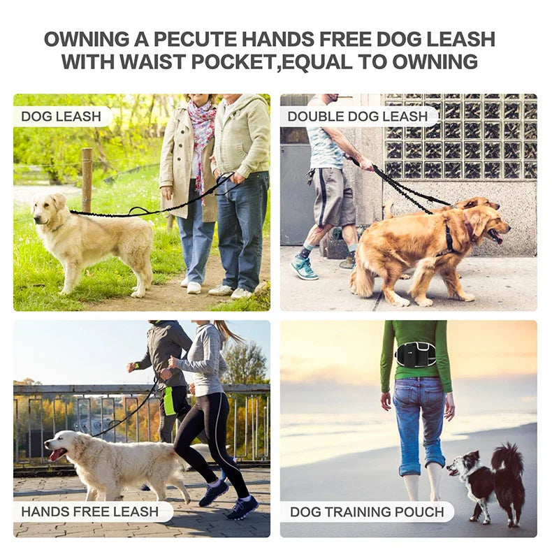 Hands-Free Caddy Pouch with Bungee Leash and pockets for Dog treats, water bottle and mobile phone