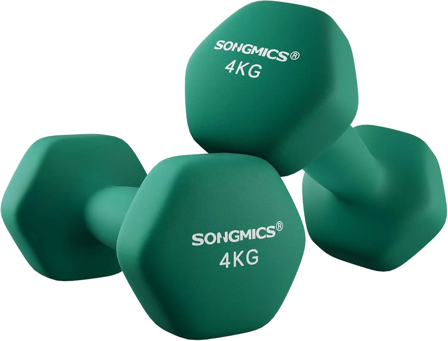 Dumbbells Set: 4 kgx2 weights