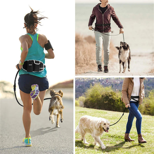 Hands-Free Caddy Pouch with Bungee Leash and pockets for Dog treats, water bottle and mobile phone