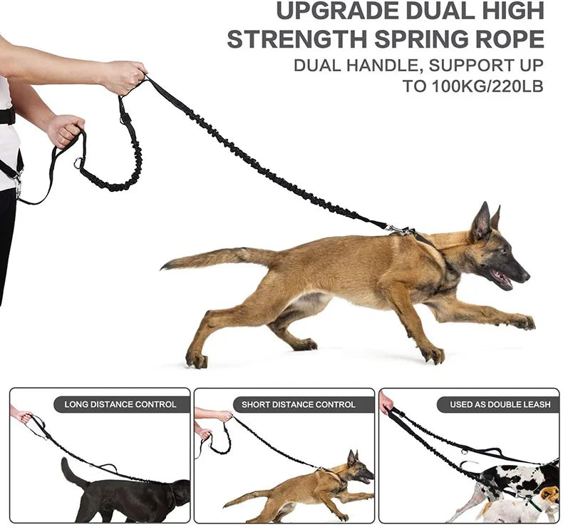 Hands-Free Caddy Pouch with Bungee Leash and pockets for Dog treats, water bottle and mobile phone