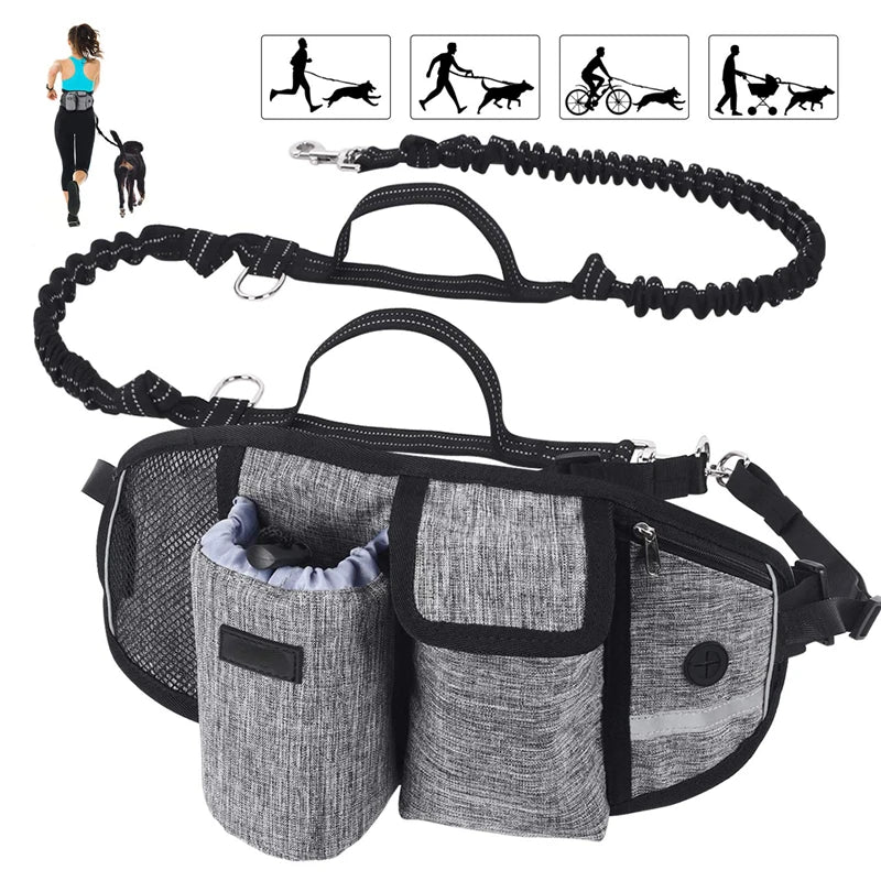 Hands-Free Caddy Pouch with Bungee Leash and pockets for Dog treats, water bottle and mobile phone