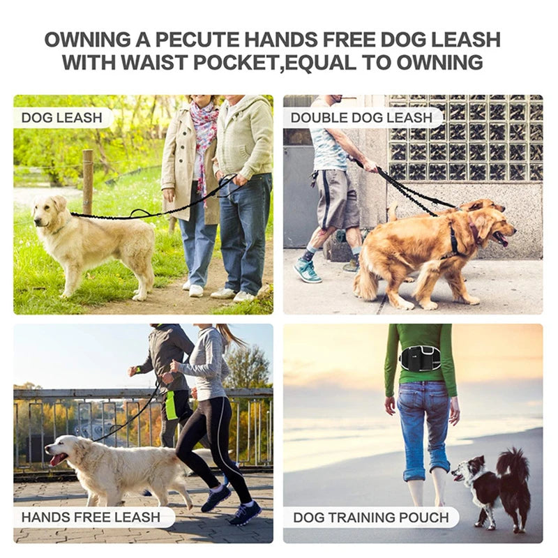 Hands-Free Caddy Pouch with Bungee Leash and pockets for Dog treats, water bottle and mobile phone