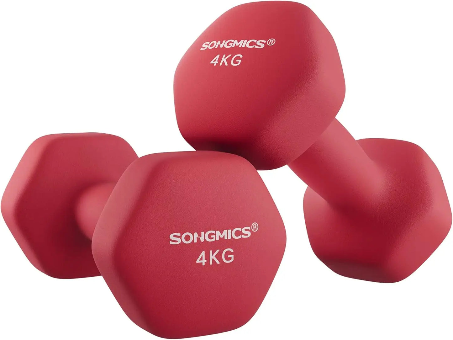Dumbbells Set: 4 kgx2 weights