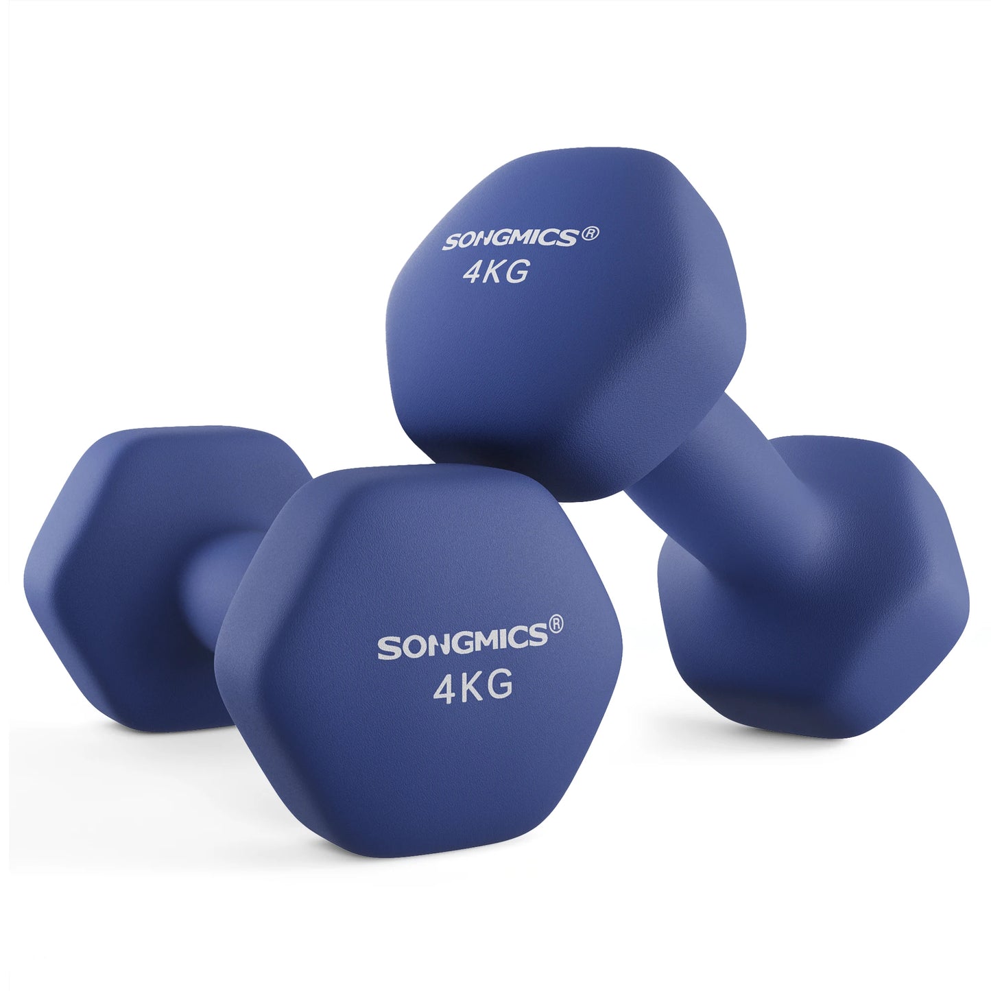 Dumbbells Set: 4 kgx2 weights