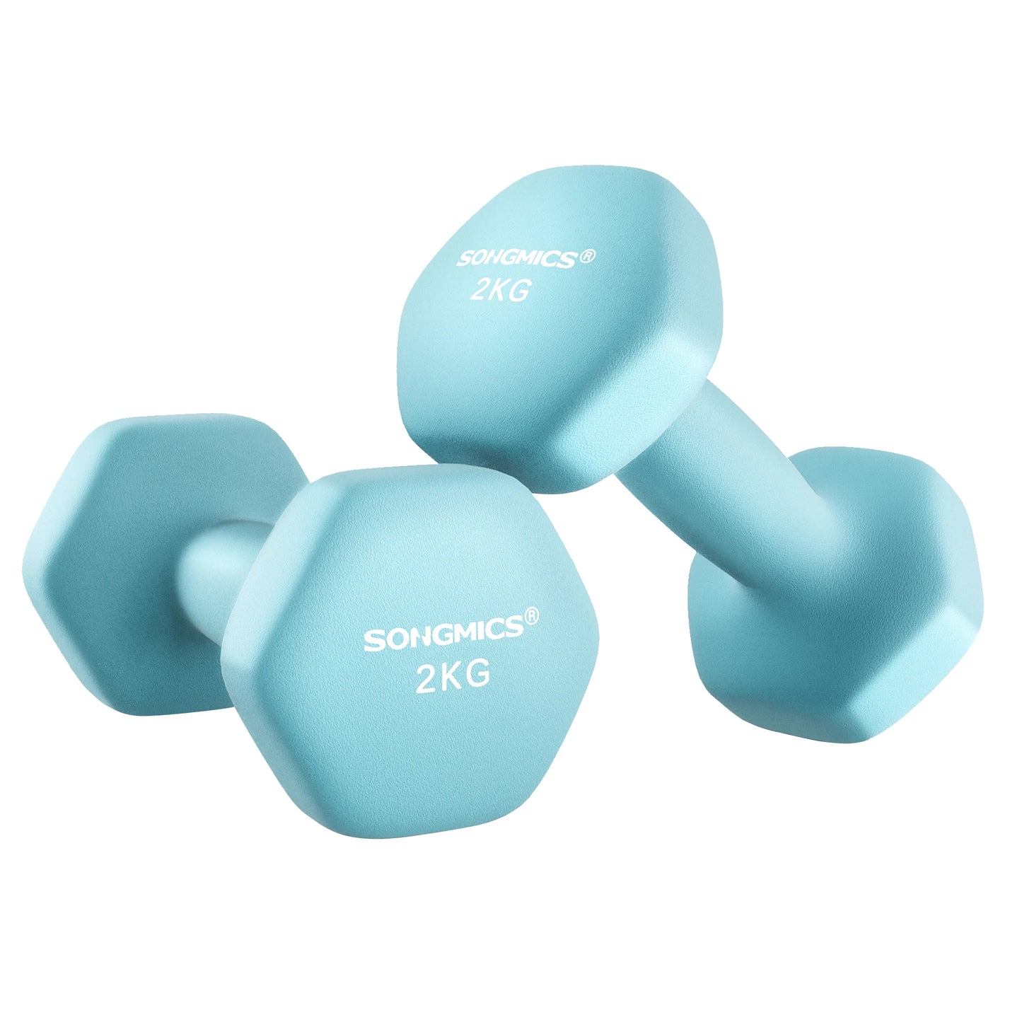 Dumbbells Set of 2kgx2