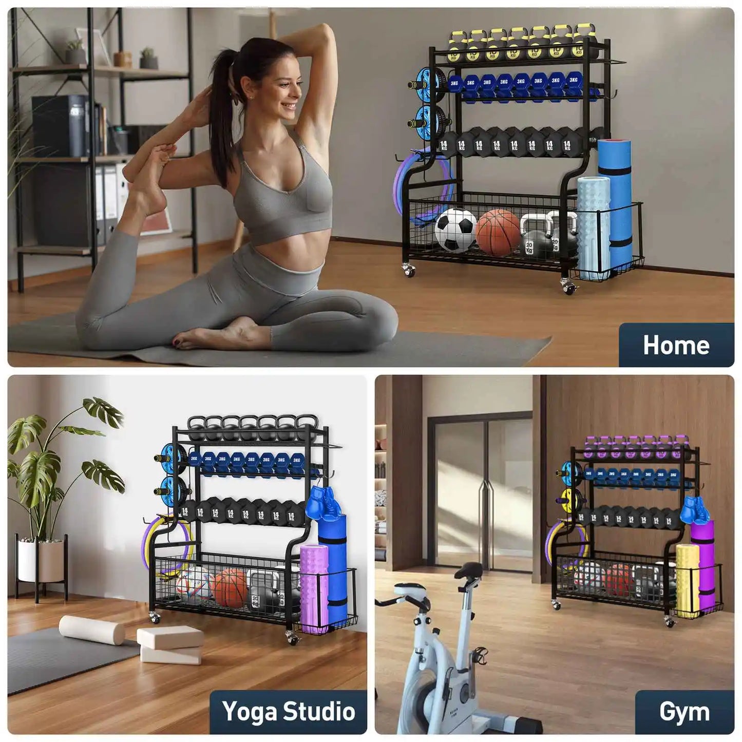 All-in-One Dumbbell and Fitness equipment storage and organiser for your Home Gym
